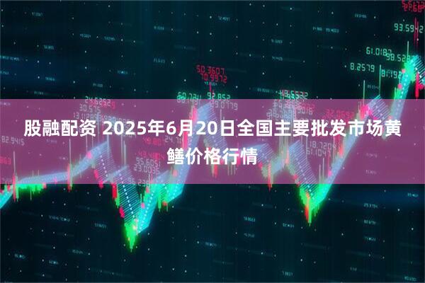股融配资 2025年6月20日全国主要批发市场黄鳝价格行情